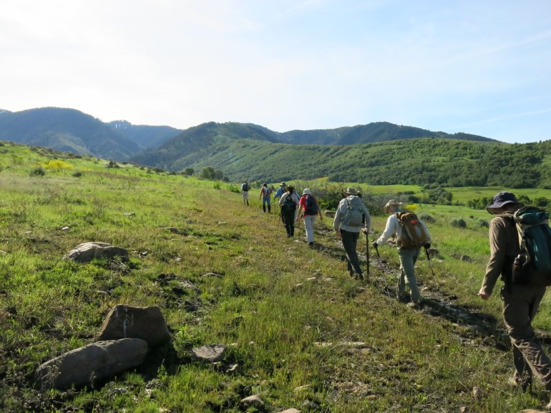 Trail